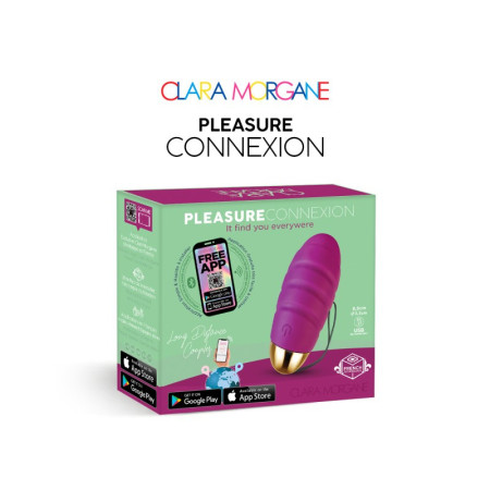 Pleasure connexion Violet - Oeuf vibrant