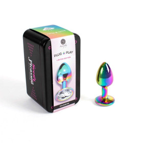Plug anal secret play - Rainbow metal Plug anal secret play - Rainbow metal