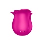 Stimulateur de clitoris rose par ondes de pression ou sans contact Pro 2 Modern Blossom Satisfyer - CC597841