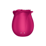 Stimulateur de clitoris rose par ondes de pression ou sans contact Pro 2 Classic Blossom Satisfyer - CC597840