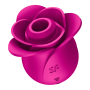 Modern Blossom Pro 2 Satisfyer - Rose