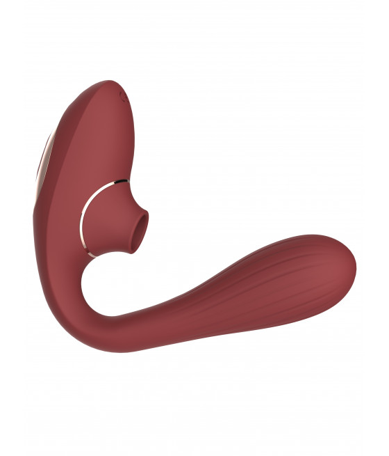 2 en 1 stimulateur de clitoris sur membrane et vibromasseur point G USB bordeau flexible DINA - WS-NV017WIN