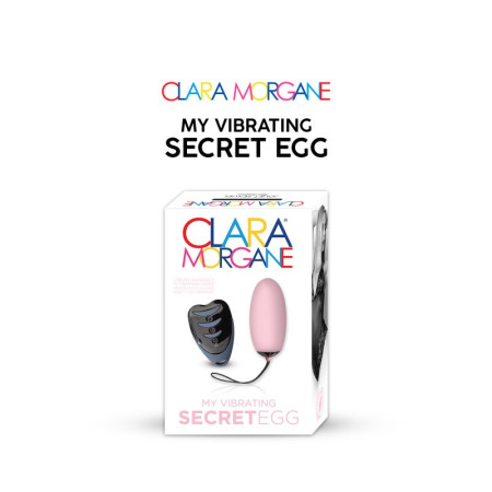 My vibrating secret egg - Rose