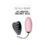 My vibrating secret egg - Rose