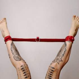 Barre de contrainte cuir et anneau Rouge Barre de contrainte cuir et anneau Rouge
