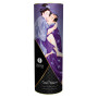 Shunga kit Carnal pleasures
