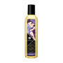 Shunga kit Carnal pleasures