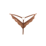 String taupe en dentelle avec bijou cœur doré - PA02MBRW