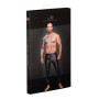 H063 Powerwetlook treggings