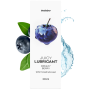 Lubrifiant à base d'eau Myrtille fraiche 300 ml Satisfyer - CC597068