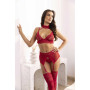 Velvet sin ensemble lingerie - Cherry