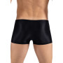 Boxer noir Daring 