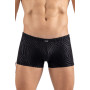 Boxer noir  gold Zebra 