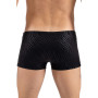 Boxer noir  gold Zebra 