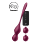 Boules de geisha vibrantes Satisfyer Love Birds Vary 