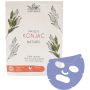 Masque visage - Myrtille