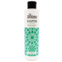 Shampoing cheveux gras 250ml
