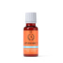 APHRODICT SEXOVITAL Complément Alimentaire complexe performance pour Homme 20 ml - RUF