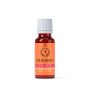 APHRODICT LOVE DROPS Complément Alimentaire Multi-Plantes pour Femme 20 ml - RUF
