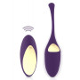 Trousse cosmétique et œuf vibrant vibrante USB