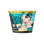 Bougie de massage fleurs des iles 170ml - CC9045247