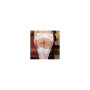 Porte jarretelles dentelle - DG8735X